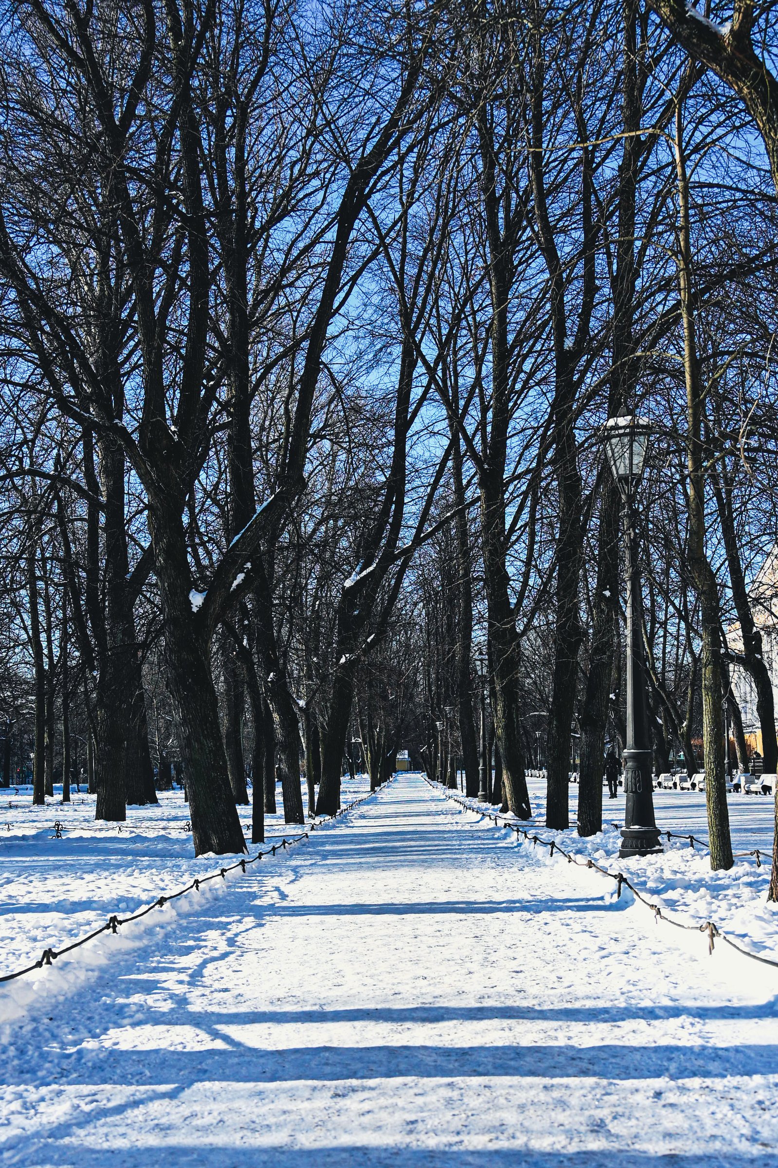 Winter geometry in the Alexander garden